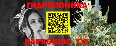 мяу мяу мука Партизанск