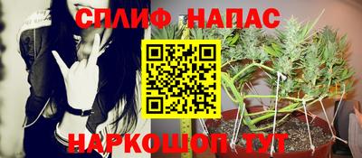 прущие грибы Первоуральск
