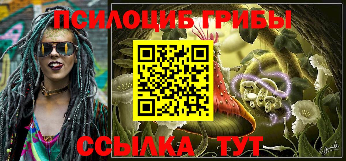 Светлоград  где купить наркоту  Вход с VPN  Псилоцибиновые грибы мицелий 